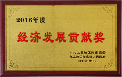 经济发展贡献奖